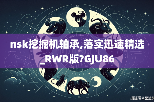 nsk挖掘机轴承,落实迅速精选_RWR版?GJU86