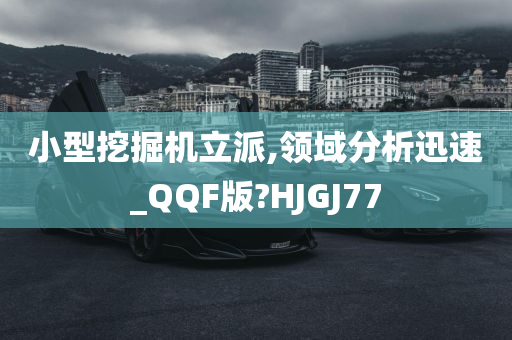 小型挖掘机立派,领域分析迅速_QQF版?HJGJ77