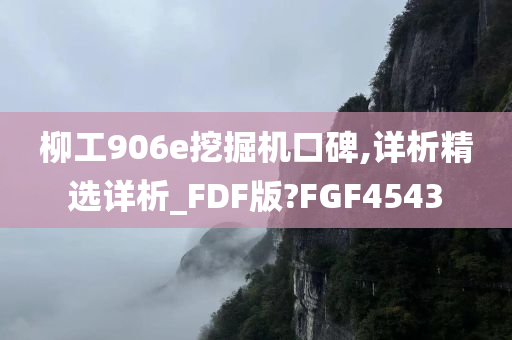 柳工906e挖掘机口碑,详析精选详析_FDF版?FGF4543