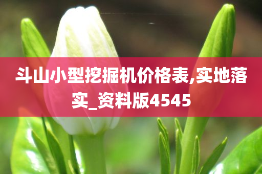 斗山小型挖掘机价格表,实地落实_资料版4545