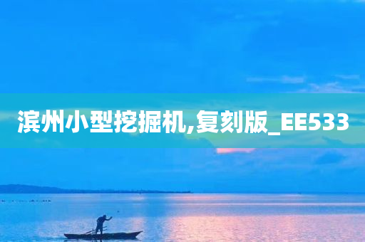 滨州小型挖掘机,复刻版_EE533