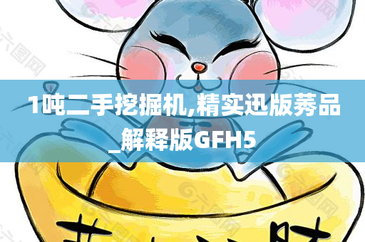 1吨二手挖掘机,精实迅版莠品_解释版GFH5