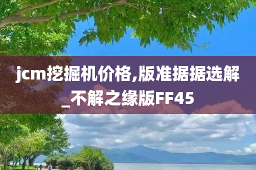 jcm挖掘机价格,版准据据选解_不解之缘版FF45