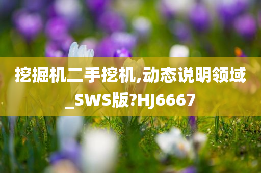 挖掘机二手挖机,动态说明领域_SWS版?HJ6667