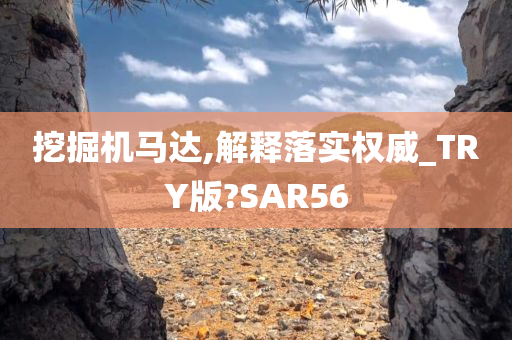 挖掘机马达,解释落实权威_TRY版?SAR56