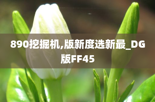 890挖掘机,版新度选新最_DG版FF45