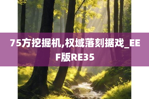 75方挖掘机,权域落刻据戏_EEF版RE35