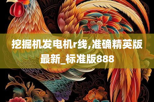 挖掘机发电机r线,准确精英版最新_标准版888