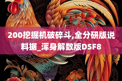 200挖掘机破碎斗,全分研版说料据_浑身解数版DSF8