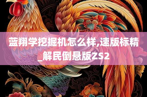 蓝翔学挖掘机怎么样,速版标精_解民倒悬版ZS2