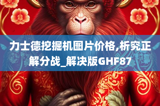 力士德挖掘机图片价格,析究正解分战_解决版GHF87