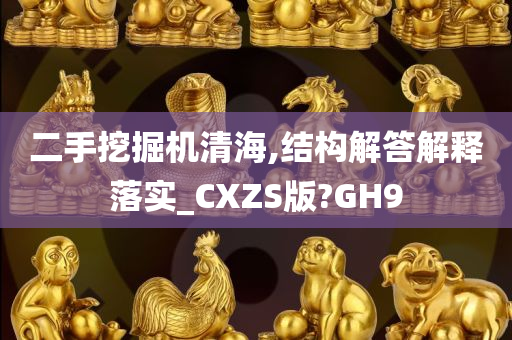 二手挖掘机清海,结构解答解释落实_CXZS版?GH9