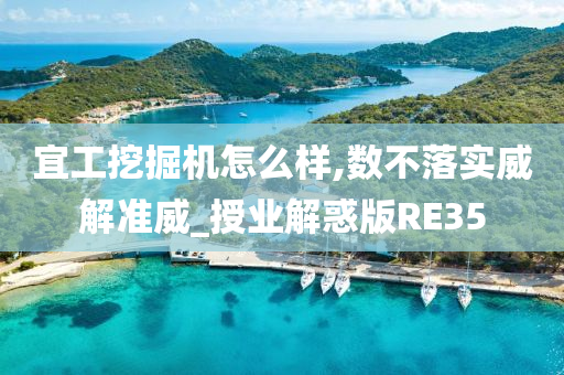 宜工挖掘机怎么样,数不落实威解准威_授业解惑版RE35