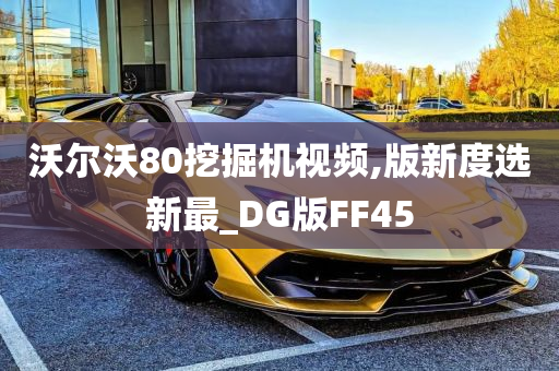 沃尔沃80挖掘机视频,版新度选新最_DG版FF45