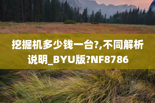 挖掘机多少钱一台?,不同解析说明_BYU版?NF8786