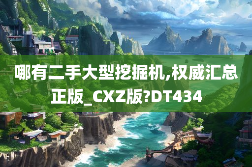 哪有二手大型挖掘机,权威汇总正版_CXZ版?DT434