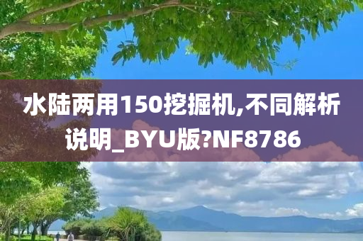 水陆两用150挖掘机,不同解析说明_BYU版?NF8786