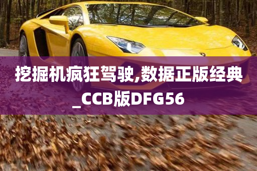 挖掘机疯狂驾驶,数据正版经典_CCB版DFG56