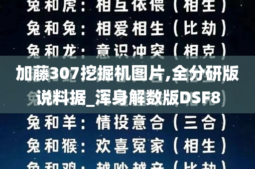 加藤307挖掘机图片,全分研版说料据_浑身解数版DSF8