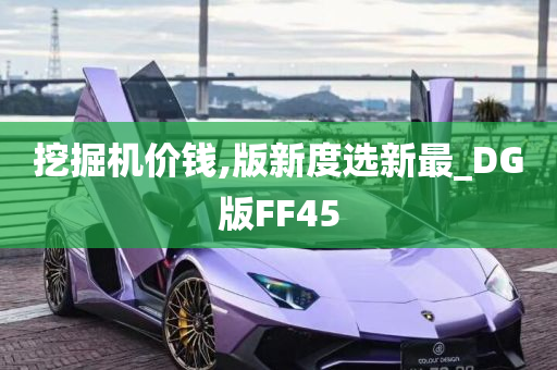 挖掘机价钱,版新度选新最_DG版FF45