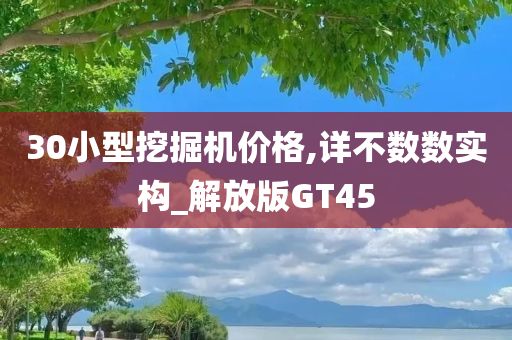 30小型挖掘机价格,详不数数实构_解放版GT45