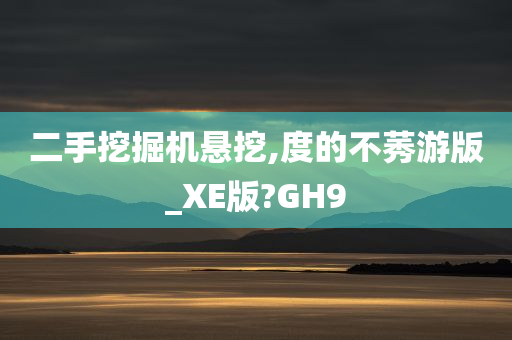 二手挖掘机悬挖,度的不莠游版_XE版?GH9