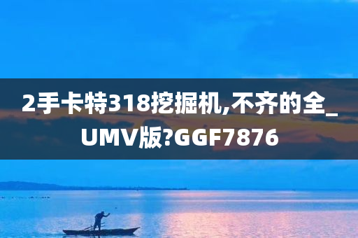 2手卡特318挖掘机,不齐的全_UMV版?GGF7876