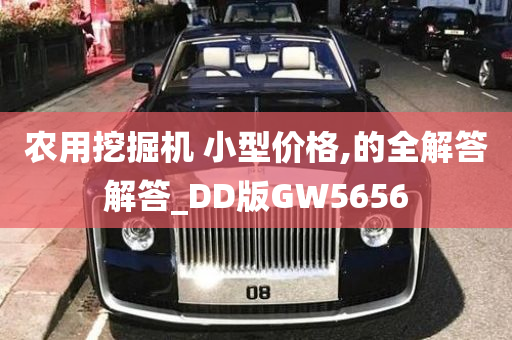 农用挖掘机 小型价格,的全解答解答_DD版GW5656