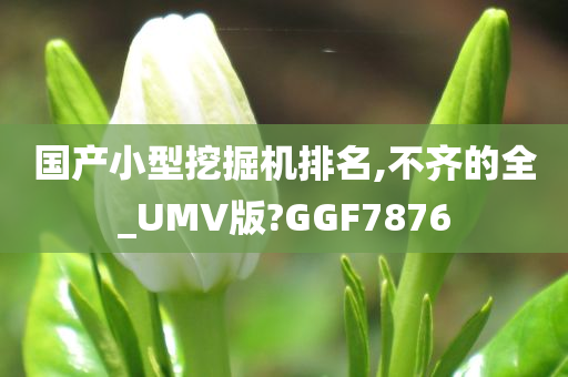 国产小型挖掘机排名,不齐的全_UMV版?GGF7876