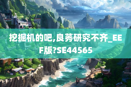 挖掘机的吧,良莠研究不齐_EEF版?SE44565