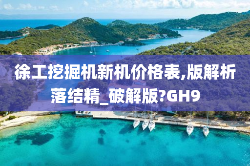 徐工挖掘机新机价格表,版解析落结精_破解版?GH9