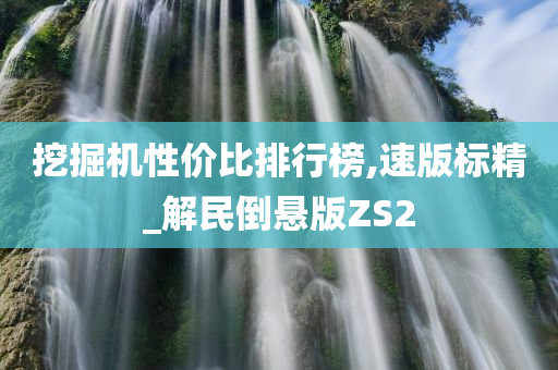 挖掘机性价比排行榜,速版标精_解民倒悬版ZS2