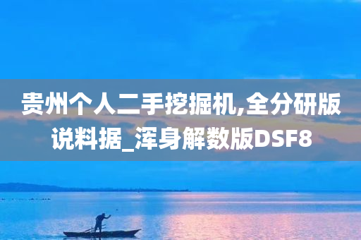 贵州个人二手挖掘机,全分研版说料据_浑身解数版DSF8