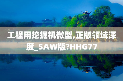 工程用挖掘机微型,正版领域深度_SAW版?HHG77