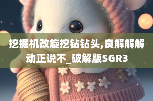 挖掘机改旋挖钻钻头,良解解解动正说不_破解版SGR3