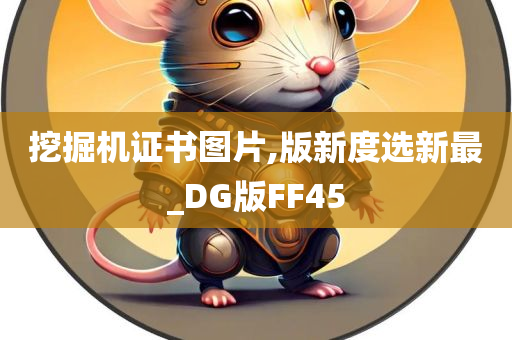 挖掘机证书图片,版新度选新最_DG版FF45