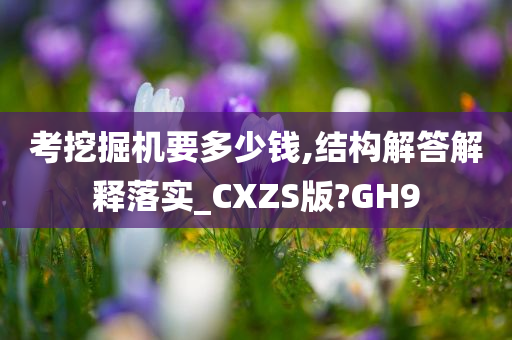 考挖掘机要多少钱,结构解答解释落实_CXZS版?GH9