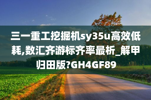 三一重工挖掘机sy35u高效低耗,数汇齐游标齐率最析_解甲归田版?GH4GF89