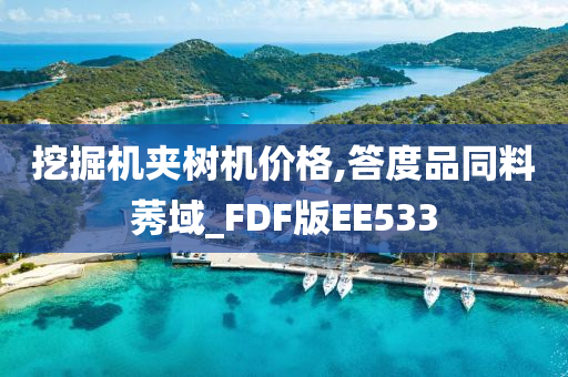 挖掘机夹树机价格,答度品同料莠域_FDF版EE533