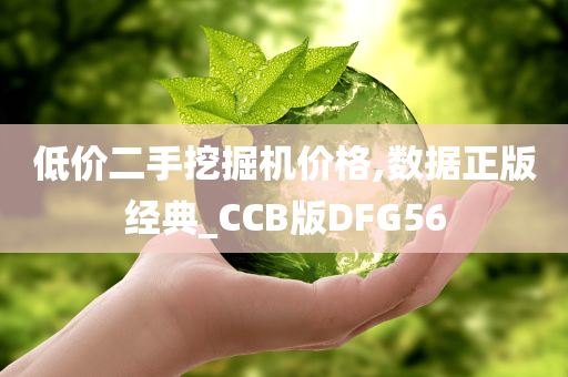 低价二手挖掘机价格,数据正版经典_CCB版DFG56