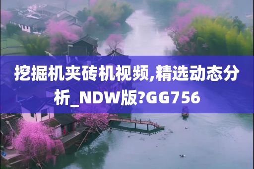 挖掘机夹砖机视频,精选动态分析_NDW版?GG756