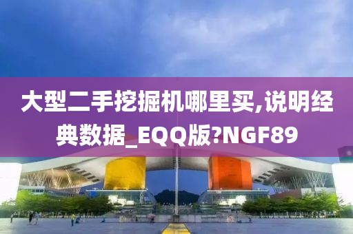 大型二手挖掘机哪里买,说明经典数据_EQQ版?NGF89