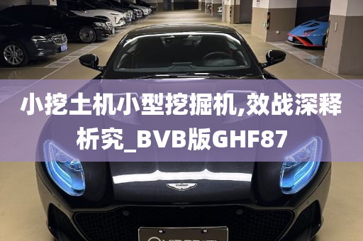 小挖土机小型挖掘机,效战深释析究_BVB版GHF87