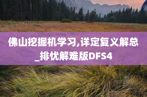 佛山挖掘机学习,详定复义解总_排忧解难版DFS4