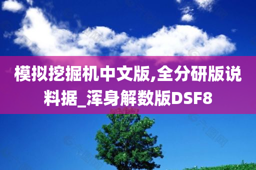 模拟挖掘机中文版,全分研版说料据_浑身解数版DSF8