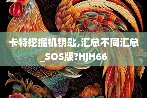 卡特挖掘机钥匙,汇总不同汇总_SOS版?HJH66