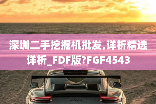 深圳二手挖掘机批发,详析精选详析_FDF版?FGF4543