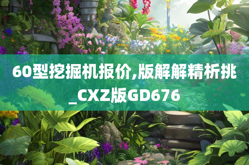 60型挖掘机报价,版解解精析挑_CXZ版GD676