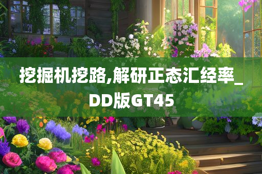 挖掘机挖路,解研正态汇经率_DD版GT45