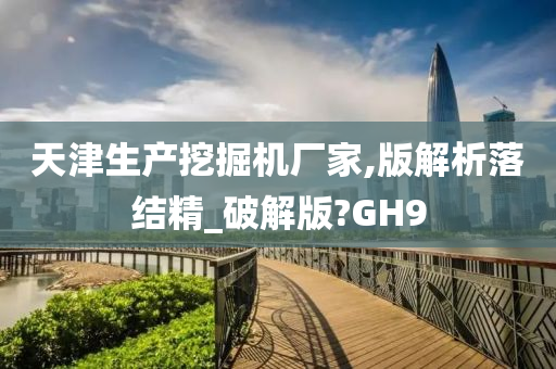 天津生产挖掘机厂家,版解析落结精_破解版?GH9